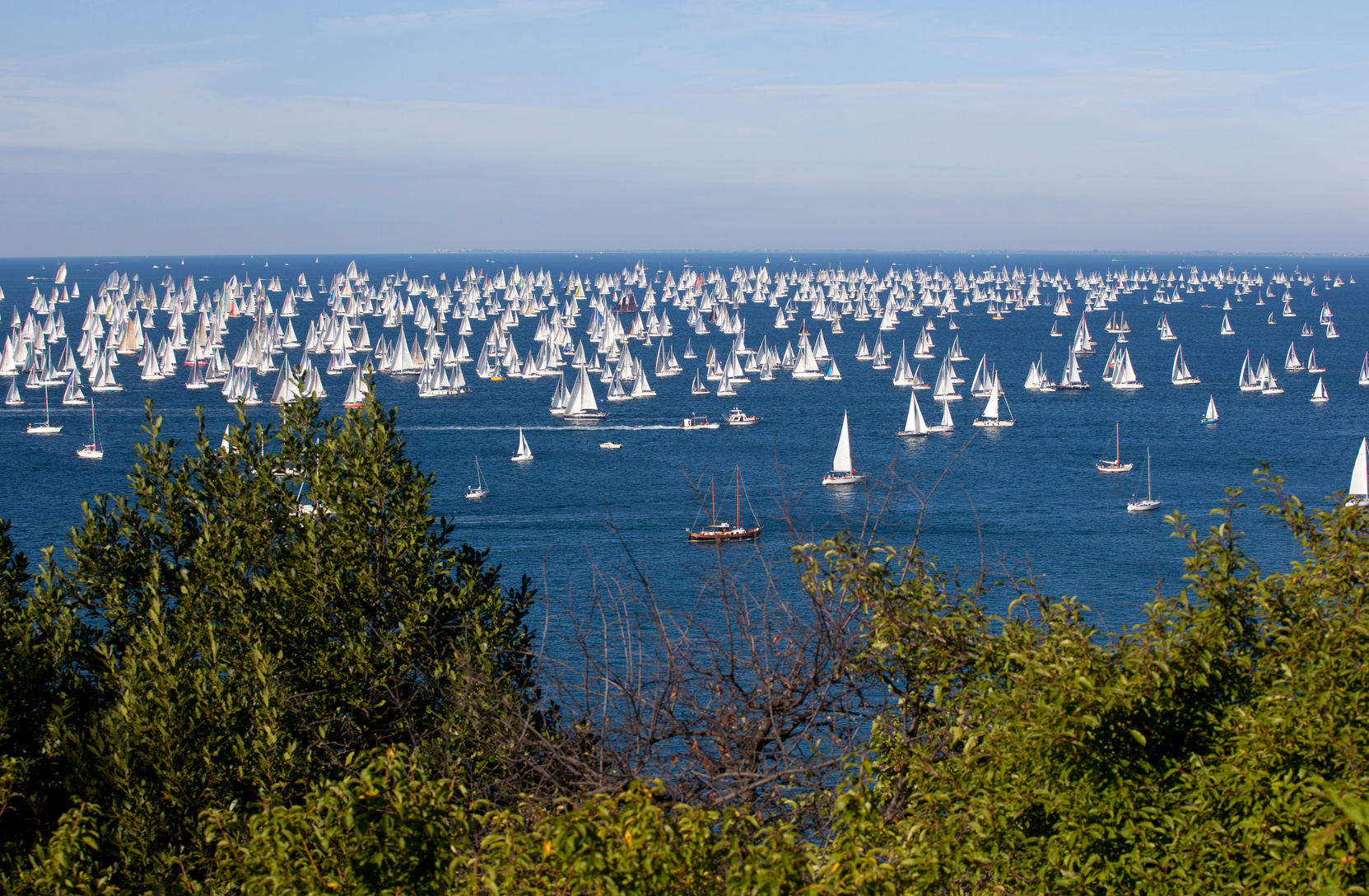  Trieste Regatta